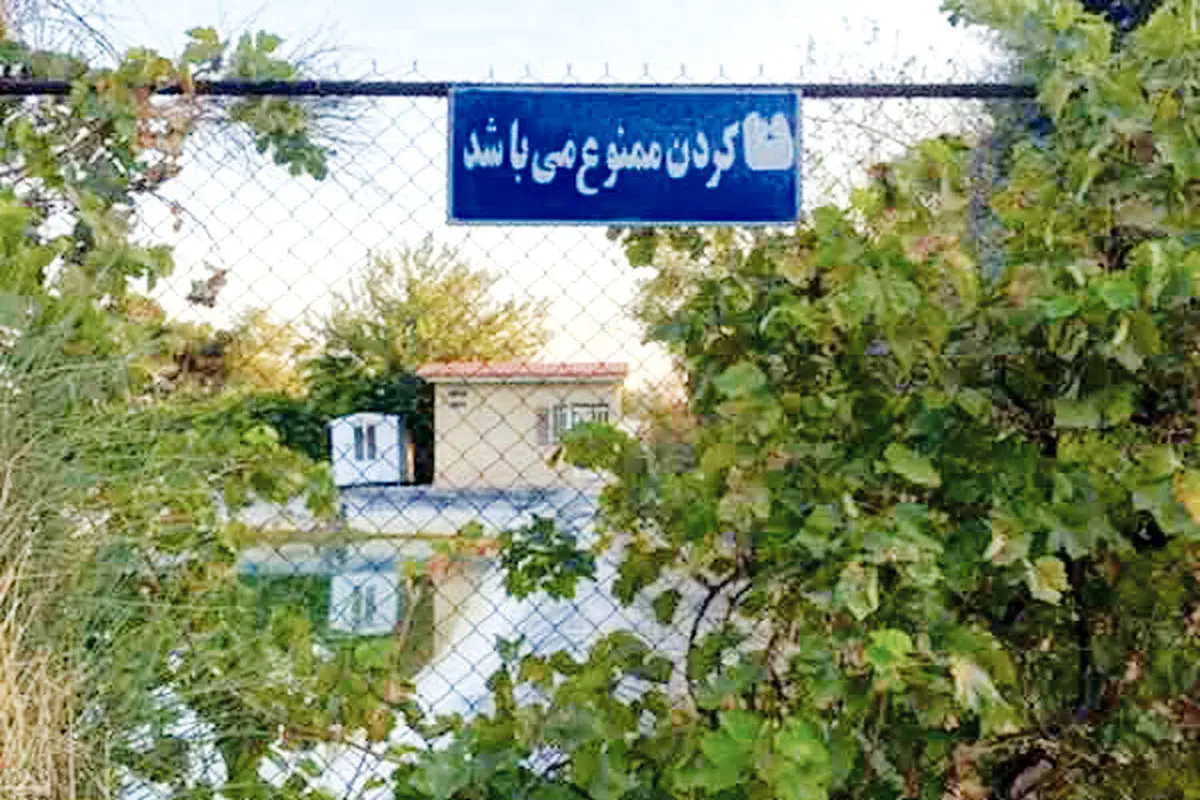  مستقیم به بهشت