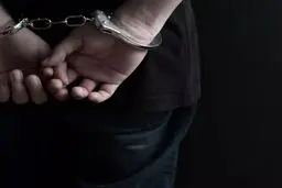 سارق زورگیر با 40 کارت بانکی بازداشت شد+ویدئو