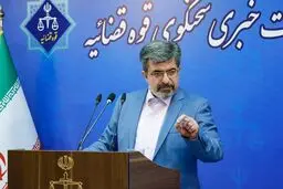 سخنگوی قوه‌قضائیه در مورد دستگیری مدیرعامل دیجی‌کالا: گریبان توهین‌کنندگان را رها نمی‌کنیم

