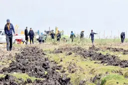 در انتظار ابطال واگذاری