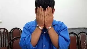 سرقت اموال مردم توسط مأموران قلابی / متهمان دستگیر شدند