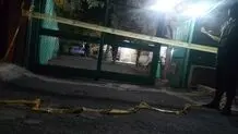 کشف یک سر نخ دیگر از پرونده قتل داریوش مهرجویی و همسرش/ آخرین پیامی که وحیده محمدی فرصت نکرد برای دخترش ارسال کند