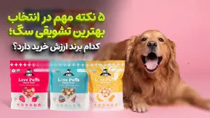 ​5 نکته در انتخاب بهترین تشویقی سگ + کدام برند ارزش خرید دارد؟