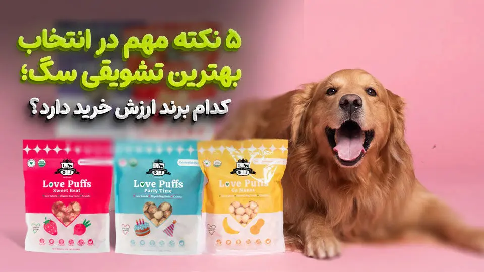 5 نکته در انتخاب بهترین تشویقی سگ + کدام برند ارزش خرید دارد؟