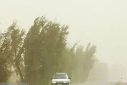 هشدار سطح نارنجی در پی وزش باد شدید در تهران و البرز