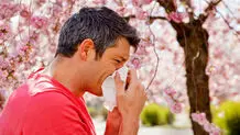 هشدار درباره اوج‌گیری آلرژی‌های تنفسی
