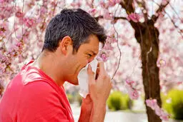 هشدار درباره اوج‌گیری آلرژی‌های تنفسی
