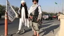 از کارآفرینی تا نعنا‌چینی

