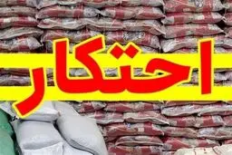 دلیل اصلی افزایش قیمت برنج مشخص شد
