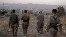 خلع سلاح در عمق کردستان

