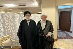 دیدار سید هادی خامنه ای با مهدی کروبی