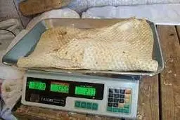 طرح فروش کیلویی نان تا ۴ ماه آینده اجرا می شود