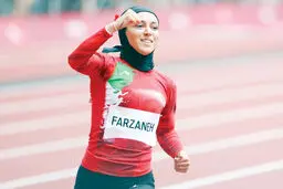 مورد جدید « فرزانه»