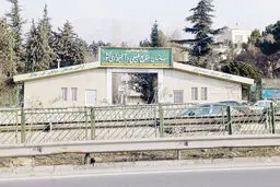 اره بر جان طبیعت

