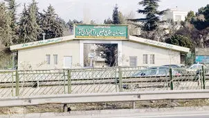 اره بر جان طبیعت
