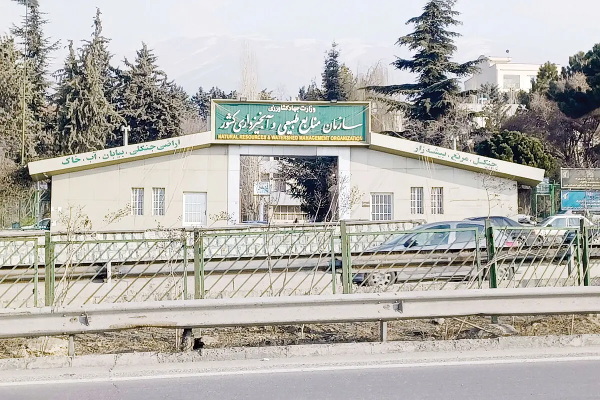 اره بر جان طبیعت
