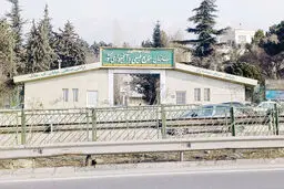 اره بر جان طبیعت

