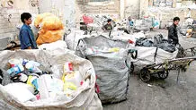 30 درصد پسماند را می‌دزدند
