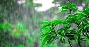 پیش بینی هوای خراسان رضوی فردا 5 خرداد 1405/ کاهش دما
