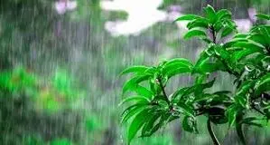 پیش بینی هوای ایلام فردا 4 فروردین 1405/ تداوم بارندگی