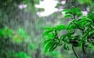 پیش‌بینی هوای بوشهر؛ یکشنبه ۱۴ بهمن