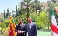 استقبال امیرعبداللهیان از وزیر خارجه سریلانکا در تهران

