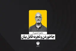 جا خوردن و تجربه قابل بیان