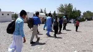 آخرین آمار اتباع خارج شده از کشور/ وزیر کشور: بیش از ۷۰ درصد اتباع خارج شده داوطلبانه ایران را ترک کردند
