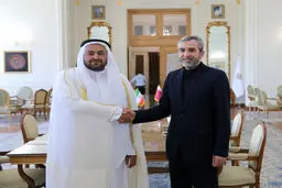 Palestine key to regional stability, security: Iran deputy FM
