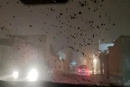 شرایط کنونی اهواز با وجود گرد و خاک+ عکس 