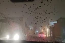 شرایط کنونی اهواز با وجود گرد و خاک+ عکس 