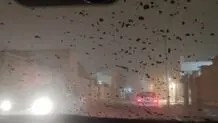 شرایط کنونی اهواز با وجود گرد و خاک+ عکس 