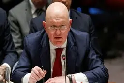 Russian UN envoy reacts to claims of arms purchases from DPRK