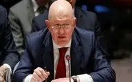 Russian UN envoy reacts to claims of arms purchases from DPRK
