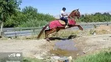 سفر یک گروه زائر به مشهد با اسب+ عکس