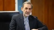 ولایتی: روابط با مصر بسیار مهم است؛ از سرگیری روابط دو کشور با حضور عربستان موازنه منطقه‌ای جدیدی را شکل خواهد داد / اختلاف بر سر پرونده‌ها تاثیری بر روابط استراتژیک مسکو و تهران ندارد

