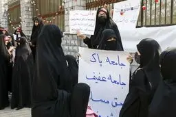 انتقاد نماینده مجلس از لایجه حجاب: دست بسیج بسته شده /ویدئو