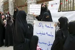 انتقاد نماینده مجلس از لایجه حجاب: دست بسیج بسته شده /ویدئو