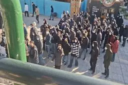 معاون وزیر علوم: در حال پیگیری هستیم تا به آزادی دانشجویان بازداشت‌شده کمک کنیم