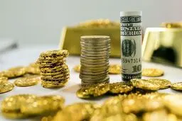 قیمت دلار، طلا و سکه؛ در ساعات پایانی بازار شنبه ۱۸ مرداد ۱۴۰۴/ عقبگرد قیمت سکه