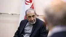 ولایتی: جهان باید از سکوت دست بردارد

