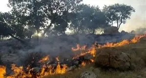 آتش‌سوزی جنگل‌های عباس‌آباد مهار شد
