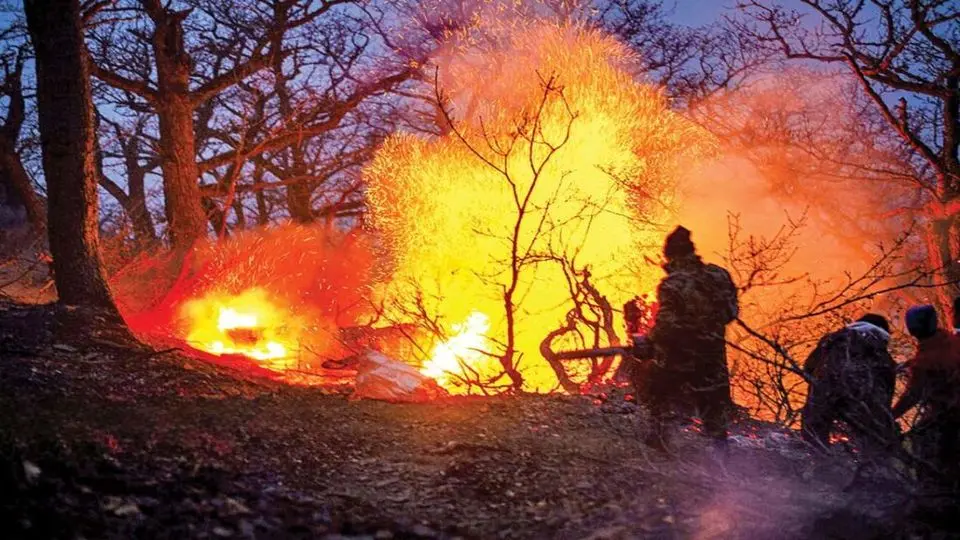 آتش جنگل از سفر بی‌حاصل ایتالیا  تا سوختن الیت زیبا