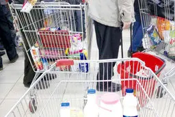 گرانی بزک می‌شود