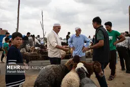 بازار آق قلا در آستانه عید قربان+ عکس