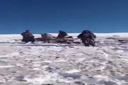 خبرها درباره سقوط پهپاد آمریکایی در افغانستان