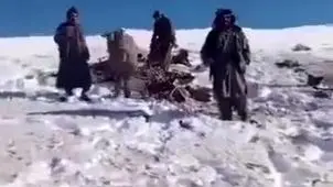 خبرها درباره سقوط پهپاد آمریکایی در افغانستان