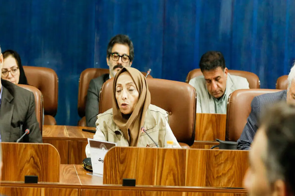 حمیده چوبک به دیدار معاون اول پزشکیان رفت + عکس