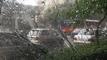 ویدئو دیدنی از بارش تابستانی در کاخ سعدآباد/ ویدئو

