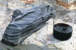 Iran develops technology to extract shale oil from reservoirs
